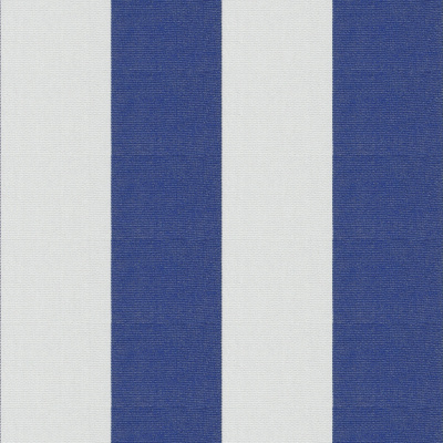 Racing Stripe - Marine/White