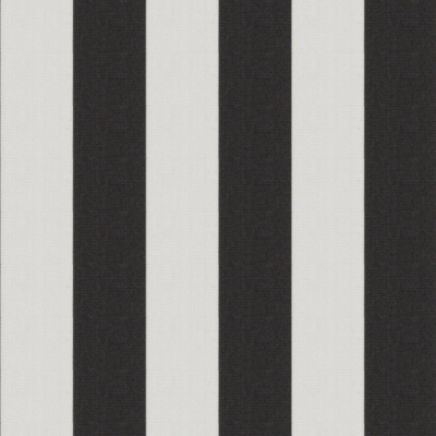 Racing Stripe - Black/White