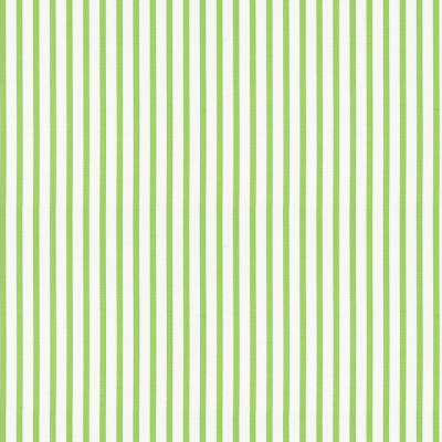Strand Stripe - Lawn