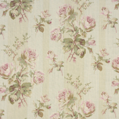 William St. Garden – Lilac