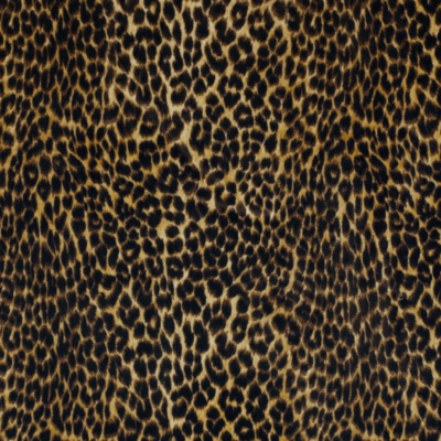 Javan Silk Leopard – Amber