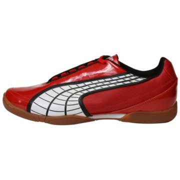 Puma v5.10 IT - 101828-01