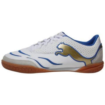 Puma PowerCat Sala - 101938-02