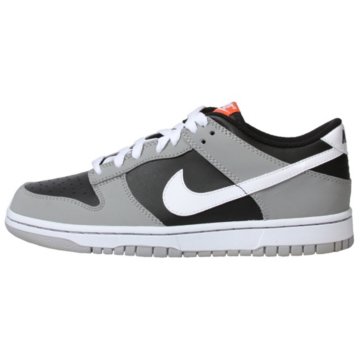 Nike Dunk Low - 310569-021