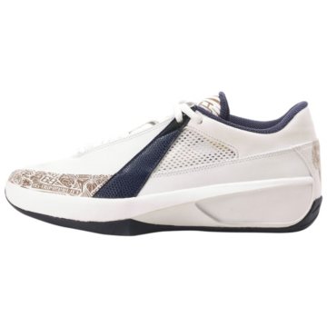 Nike Air Jordan XX Low