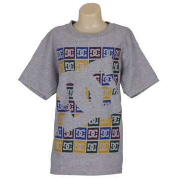 DC Squaretee - 73200054-HTR