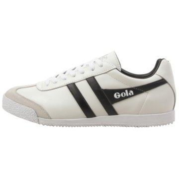 Gola Harrier