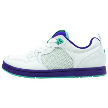 Supra Cruizer