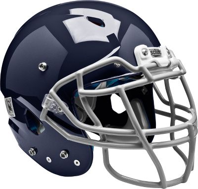 UPC 714195934582 product image for Schutt Adult 2014 Vengeance DCT Football Helmet | upcitemdb.com