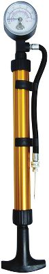 Champro Dual Action Pump with Pressure Gauge