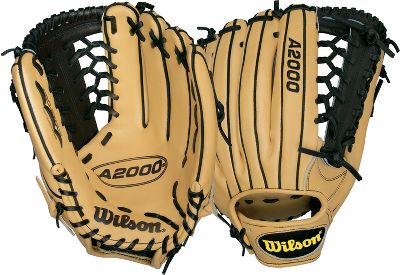 wilson a2k 12 inch