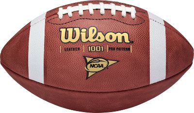 Wilson NCAA 1001 Pro Pattern Leather Football