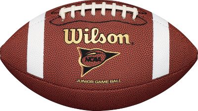 Wilson TDJ NCAA Replica Composite Junior Football