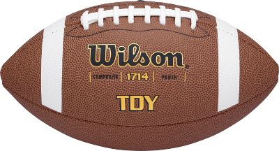 UPC 026388916542 product image for Wilson TDY Composite Youth Football | upcitemdb.com