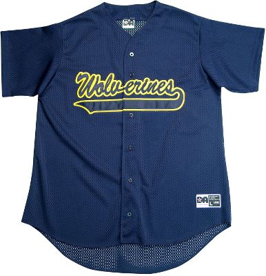 Alleson Athletic Adult Mesh Button Front Jersey