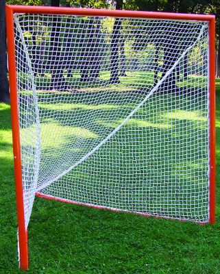 Trigon Official Lacrosse Goal