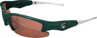 MICHIGAN ST