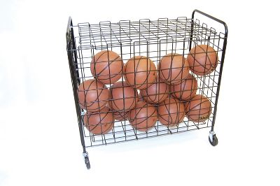 Trigon ProCage Deluxe Ball Locker