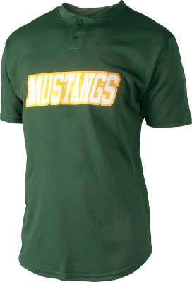 Team Express Adult 2 Button Mesh Jersey