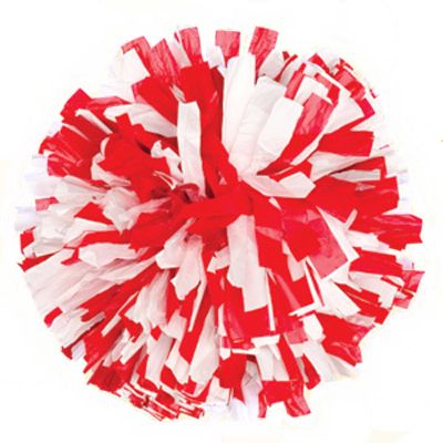 Pepco Adult Custom 2Color Mix Wet-Look Pom Poms