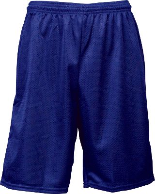 Team Express Royal Mesh Shorts