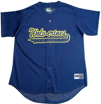 Alleson Athletic Youth Mesh BF Jersey