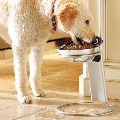 Shop Elevated & Ergonomic Pet Feeders