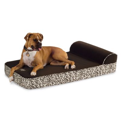 Shop Senior & Orthopedic Pet Beds
