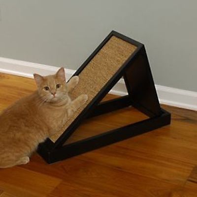 Shop Cat Scratching Posts