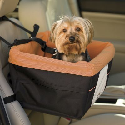 Shop Pet Safety