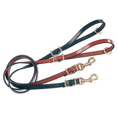 Shop Pet Leads, Leashes & Leash Holders