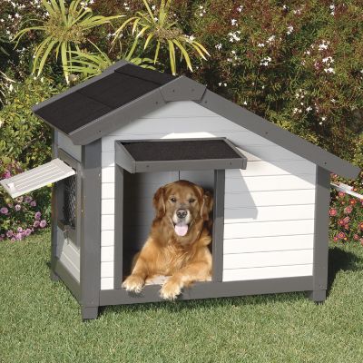 Shop Pet Houses, Crates & Travel Accessories