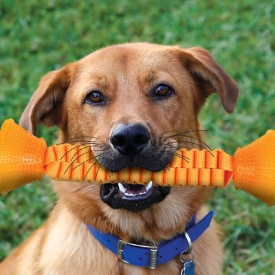 Shop Pet Toys