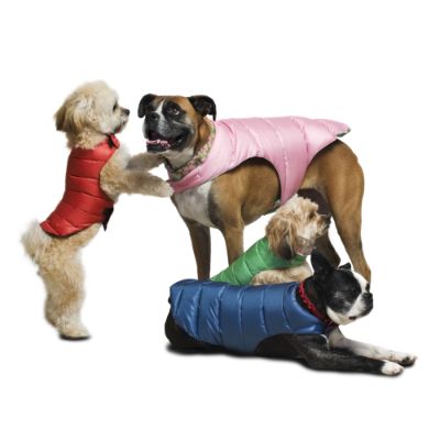 Shop Pet Apparel