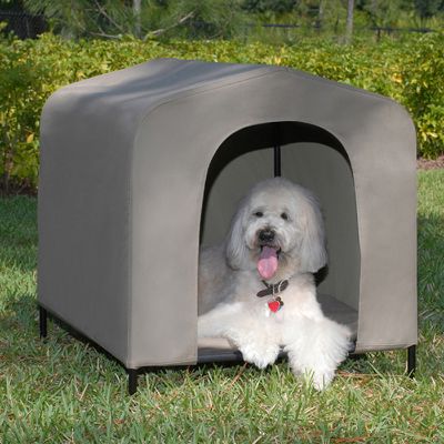 Shop Pet Houses, Crates & Travel Accessories