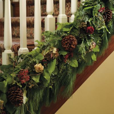 Shop Live Christmas Greenery