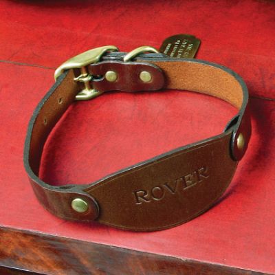 Shop Personalized Pet Food Bowls & Gifts