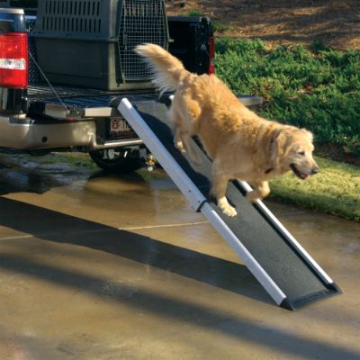 Shop Pet Ramps