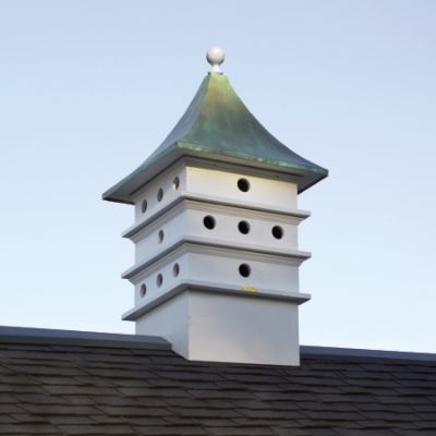 Shop Bird Cages & Birdhouses