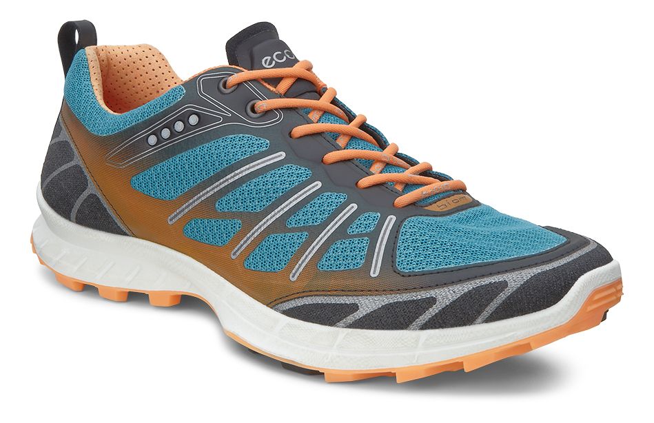 Ecco Biom FL Lite Trail Running Shoe
