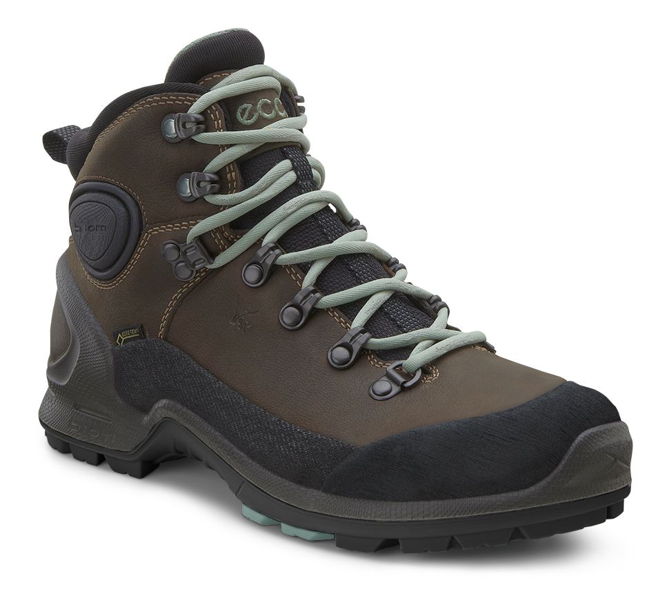 Ecco Biom Terrain High GTX Hiking Shoe