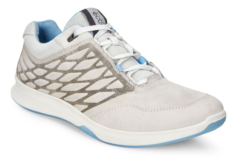saucony echelon 5 grigio