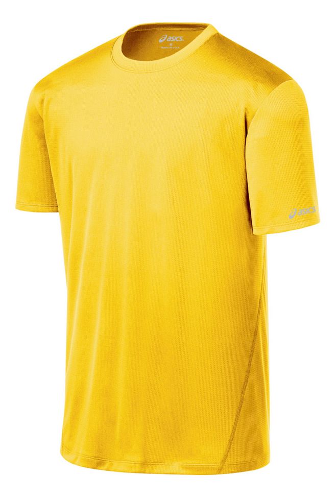 Mens ASICS Core Short Sleeve Technical Tops