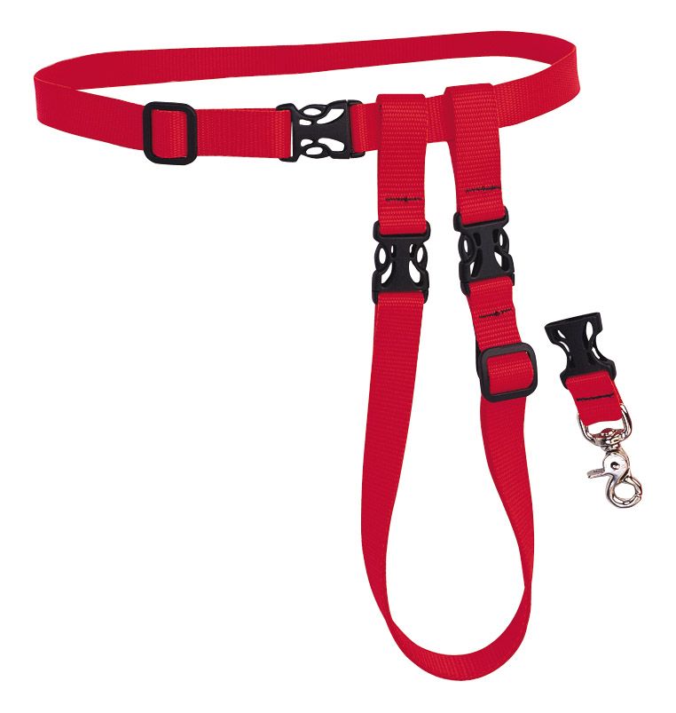 The Buddy System Belt and Leash Fitness Equipment