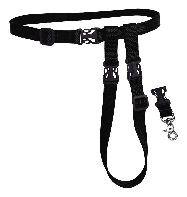 The Buddy System Belt and Leash Fitness Equipment