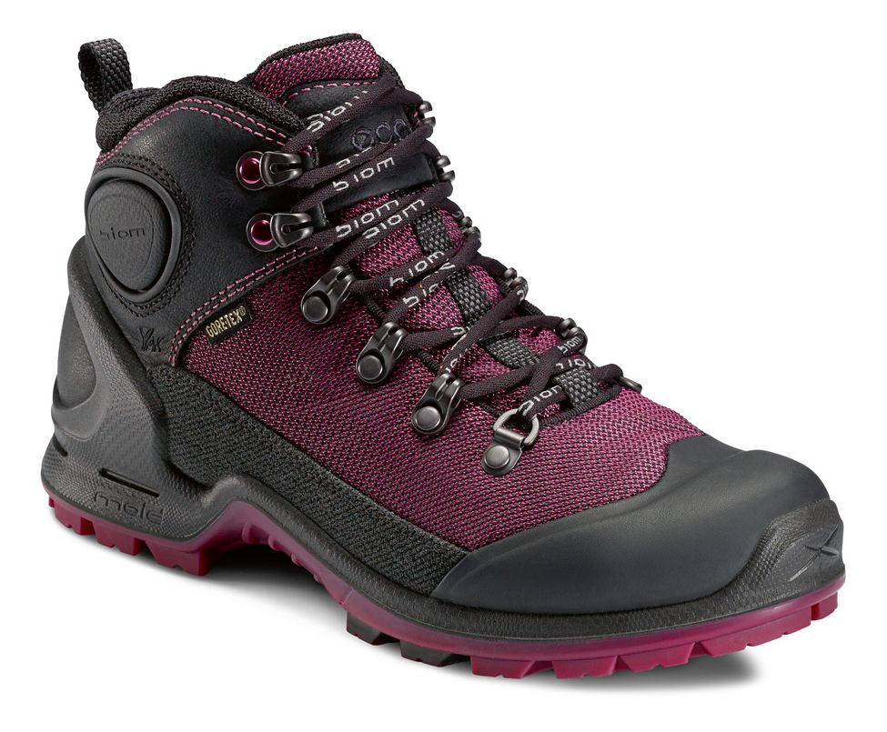 Ecco USA Biom Terrain-AKKA Mid Lite GTX Hiking Shoe