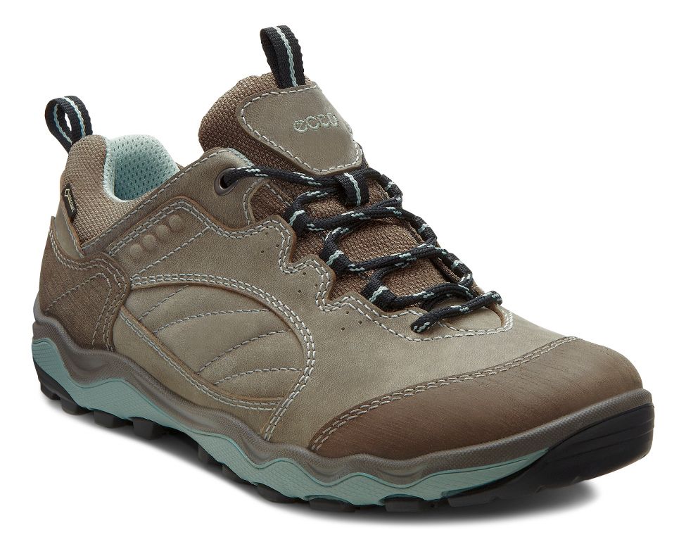 Ecco Ulterra Lo GTX Hiking Shoe