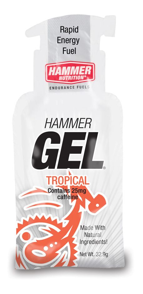Hammer Nutrition Hammer Gel 12 pk Nutrition