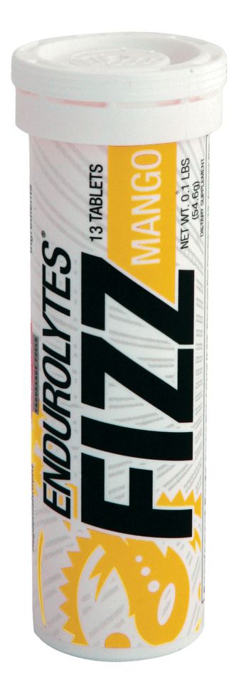 Hammer Nutrition Endurolytes Fizz single Nutrition