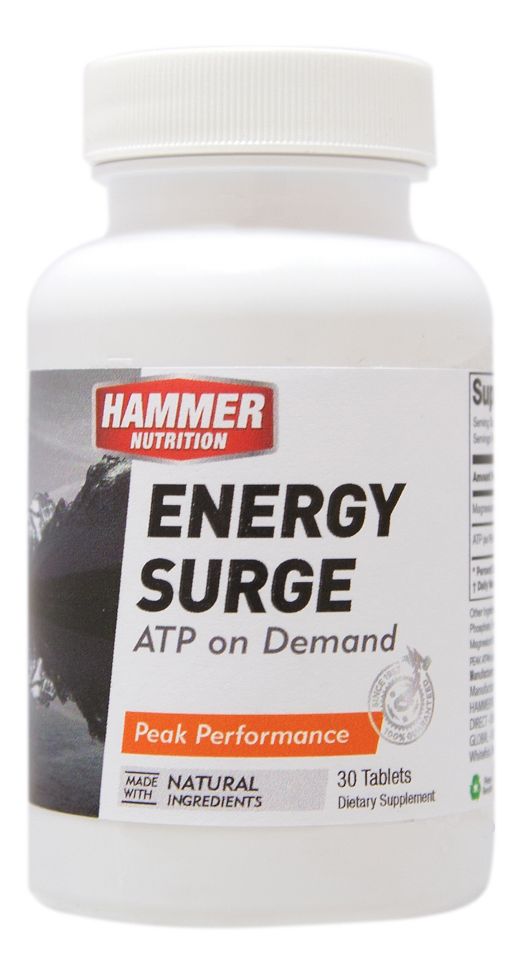 Hammer Nutrition Energy Surge 30 ct Nutrition